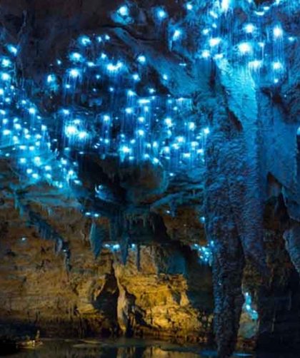 Gua Berbintang Waitomo