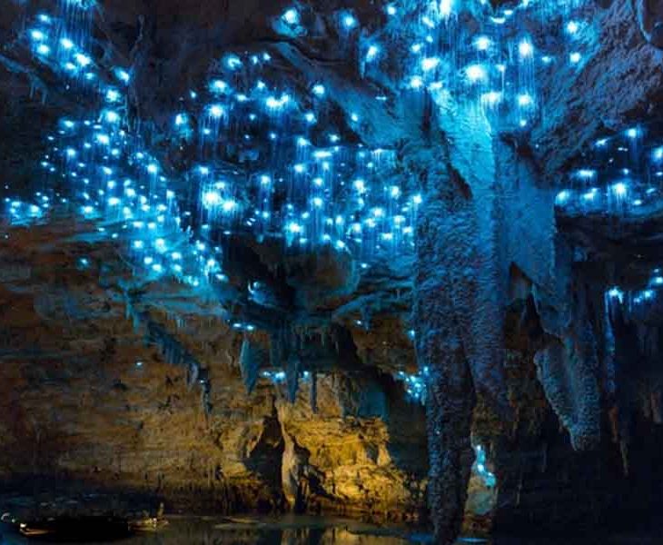 Gua Berbintang Waitomo
