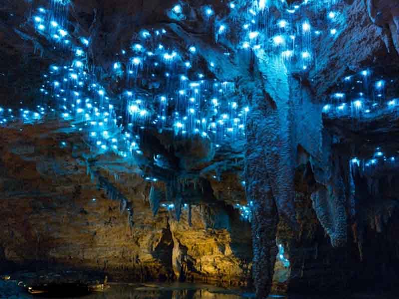 Gua Berbintang Waitomo