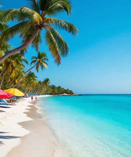 Demam Liburan Musim Dingin