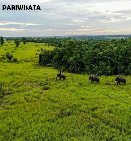 Taman Nasional Way Kambas